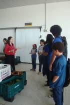 sesc